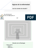 Bases Biológicas de Enfermedad. AMH 2017 UNAB