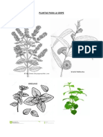 Plantas Para La Gripe