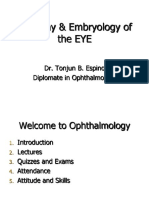 Anatomy of The EYE