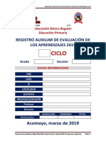 Registro Auxiliar de Evaluacion 2019