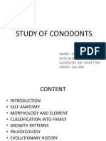 Study of Conodonts