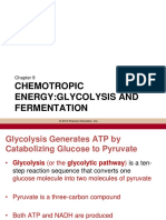 Chemotropic Energy:Glycolysis and Fermentation: © 2012 Pearson Education, Inc