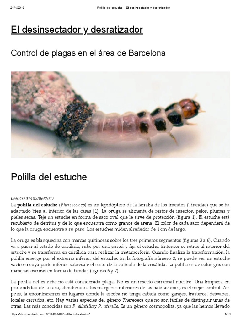 Del Estuche | PDF Lepidópteros | Polilla