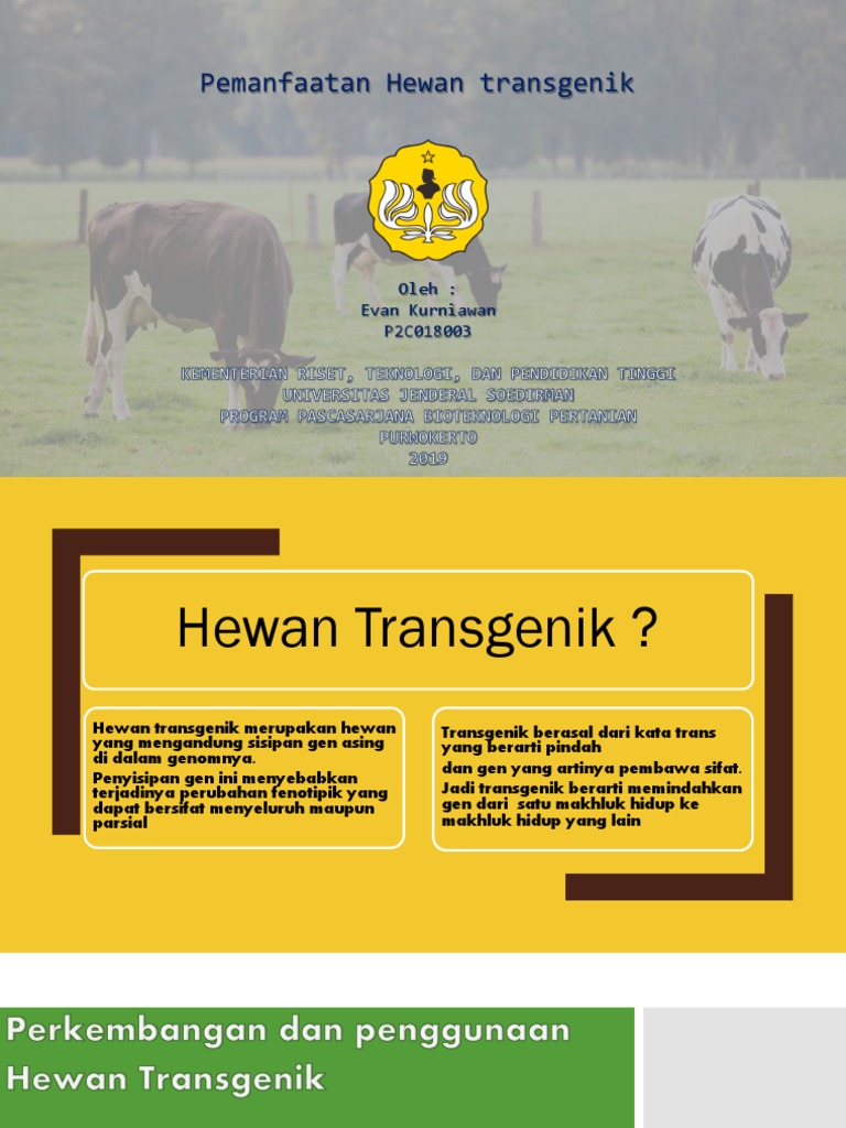 Pemanfatan Hewan Trangenik