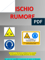 Rischio Rumore