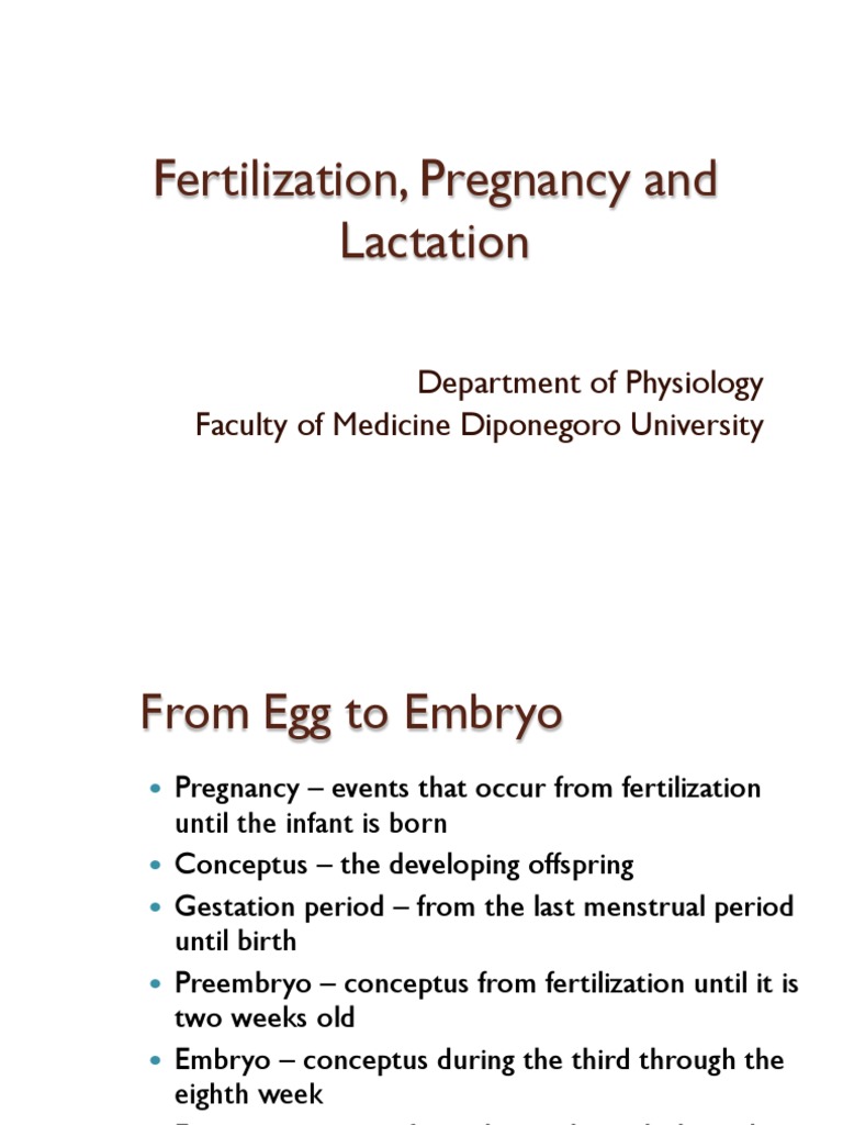 Fertilization to Labor: A Comprehensive Guide | PDF | Implantation ...