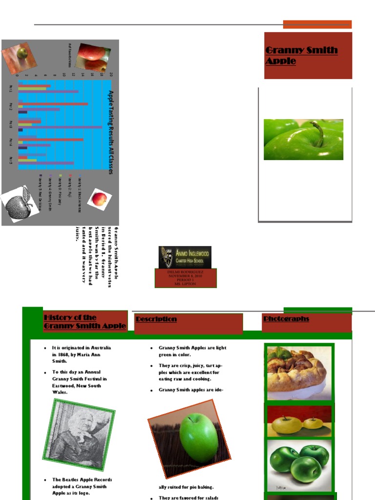 Delmi Rodriguez Apple Brochure | PDF | Mali | Apple