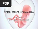 Sistem Reproduksi Manusia