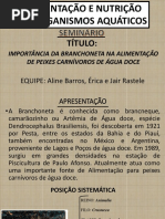 SEMINÁRIO BRANCHONETA