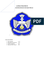 Laporan Praktikum Bandul Dan Pegas