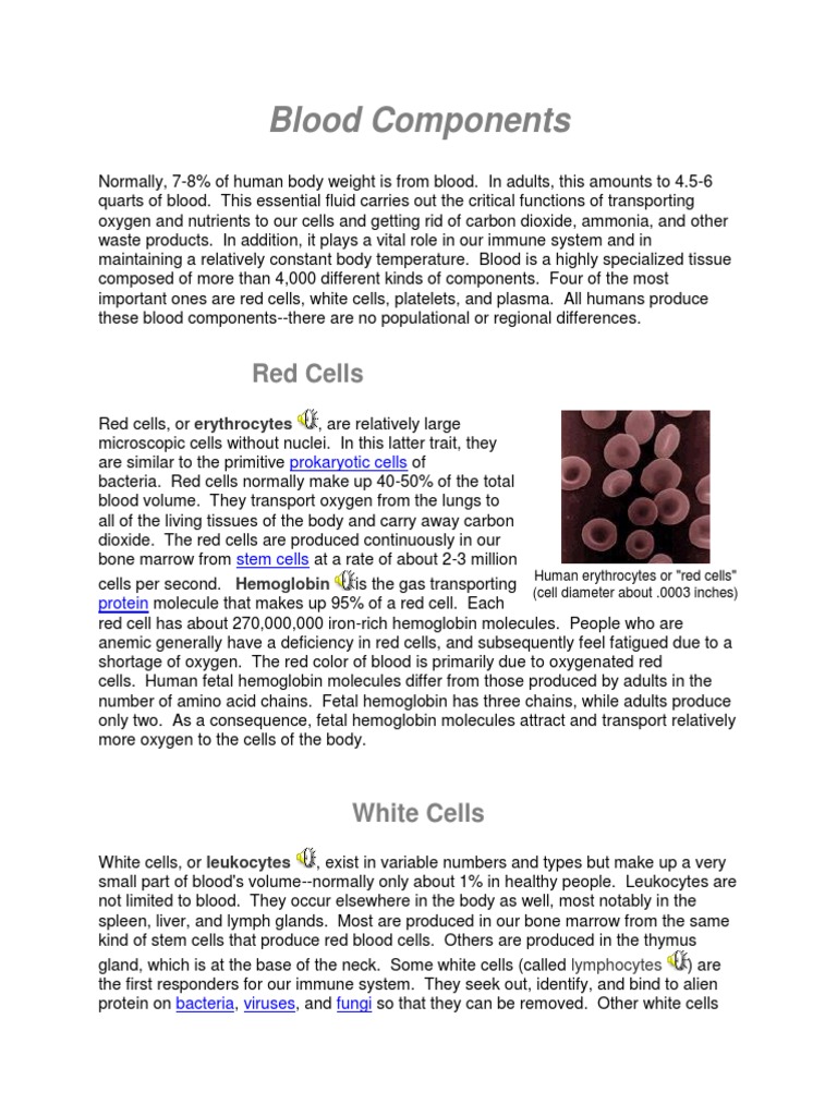 Blood Components: Red Cells | PDF | Blood | Red Blood Cell