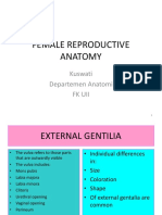 Female Reproductive Anatomy - KW