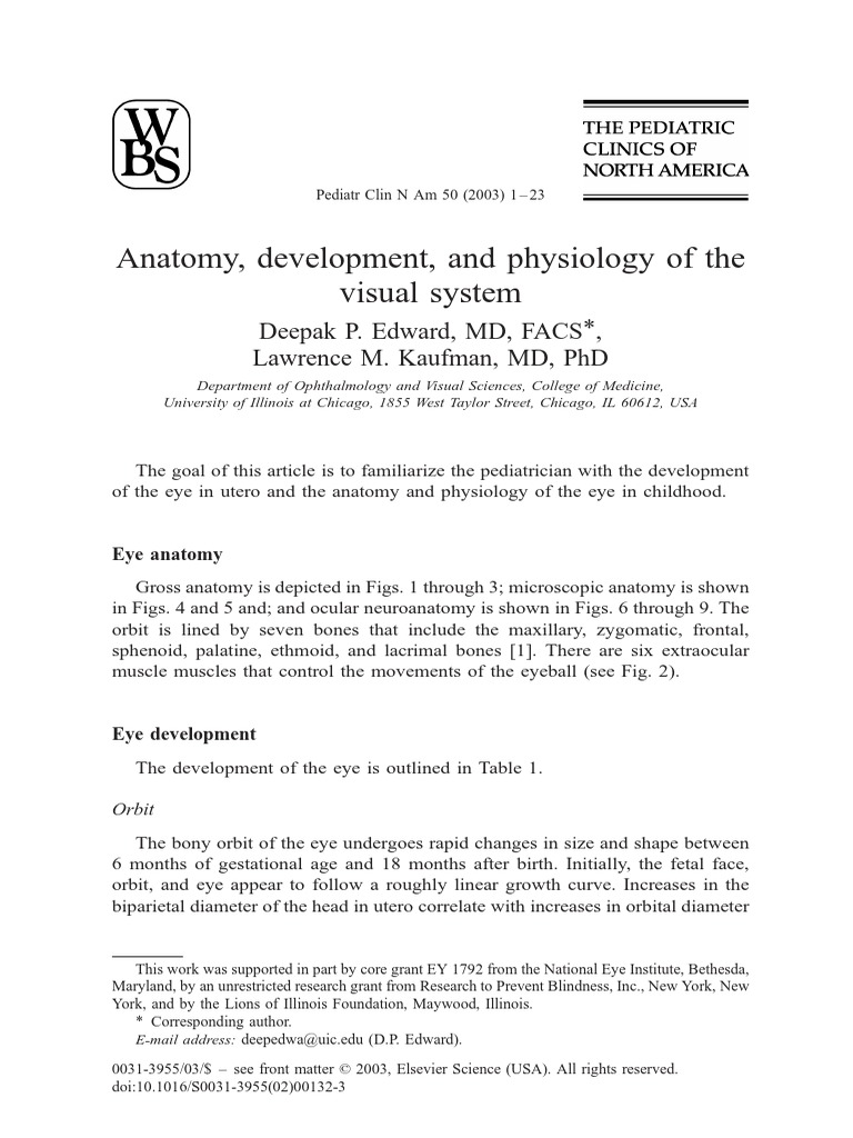 Anatomy and Development of the Eye | PDF | Retina | Human Eye