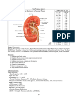 Normal Kidney Anatomy Physiology
