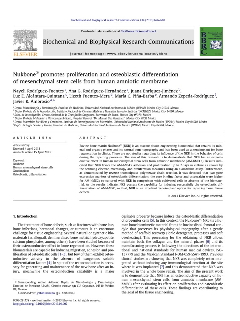 Biochemical and Biophysical Research Communications PDF Osteoblast Tissue Engineering