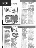 A Vida Ao Rés-do-chão