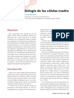 Biologia de las celulas madre.pdf