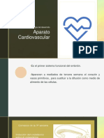 10. Desarrollo Aparato Cardiovascular