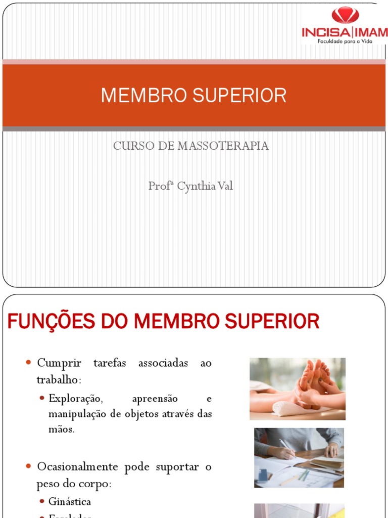 Anatomia do Membro Superior | PDF | Anatomia dos primatas | Sistema ...