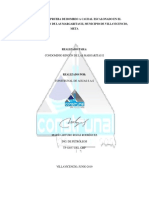 Informe Prueba de Bombeo Caudal Escalonado Rincon Margaritas 2 2019