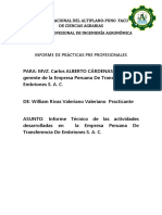 INFORME DE PRÁCTICAS PRE PROFESIONALES.docx
