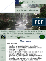 Carbon Cycle Introduction