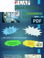 MICOLOGIA MEDICA DE ENFERMERIA.pptx