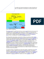 Toxo Plasma Fuente Wikipedia