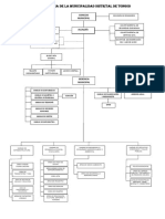 Estructura Organica PDF