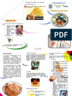 Gallinas Triptico PDF