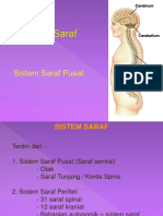 Sistem Saraf