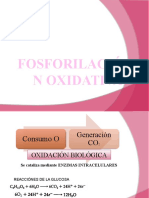 Fosforilación Oxidativa