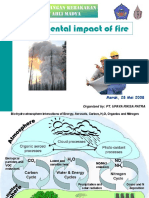 Environmental Impact Fire