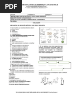 Evaluación Red Trofica Grado 7