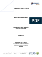 Informe Sustentacion de Practicas Academicas-Andrea Mora (2)