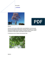 84507373-Arvores-e-Ervas-Sagradas.pdf · versão 1.pdf