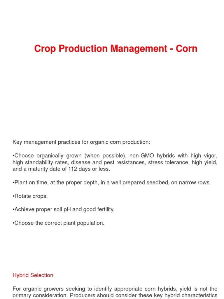 Organic Corn Production Management Guide | PDF | Wheat | Organic Farming