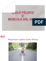 Suelo Pelvic o