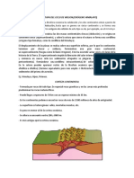 Sexta Etapa Del Ciclo de Wilson