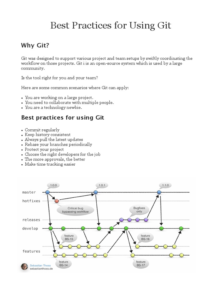Best Practices For Using Git | PDF