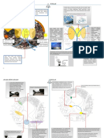 Analsa Orientasi Matahari PDF