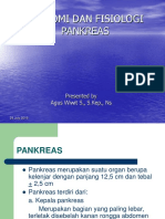 anfis pankreas