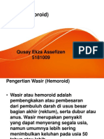 Wasir (Hemoroid)