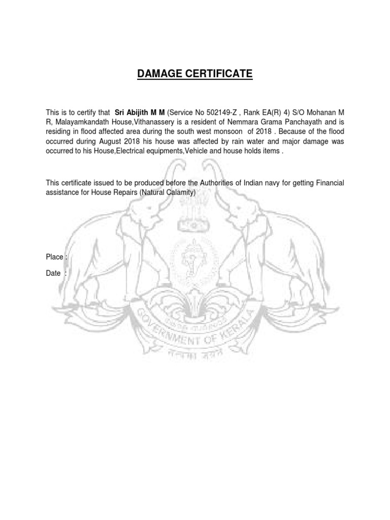 Damage Certificate PDF
