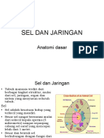 2.anatomi Sel & JaringanWt