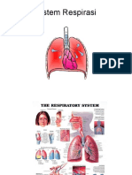 Sistem RespirasiWt