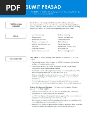 Professional CV