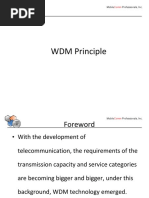 WDM Principle: Mobile Professionals, Inc