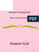 Anfis