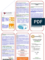 Triptico Sunarp Imprimir